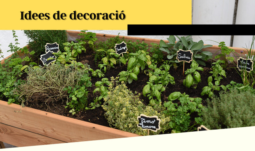 Transforma la teva llar amb frescor: Quines plantes o herbes aromàtiques plantar a casa aquesta primavera i estiu?