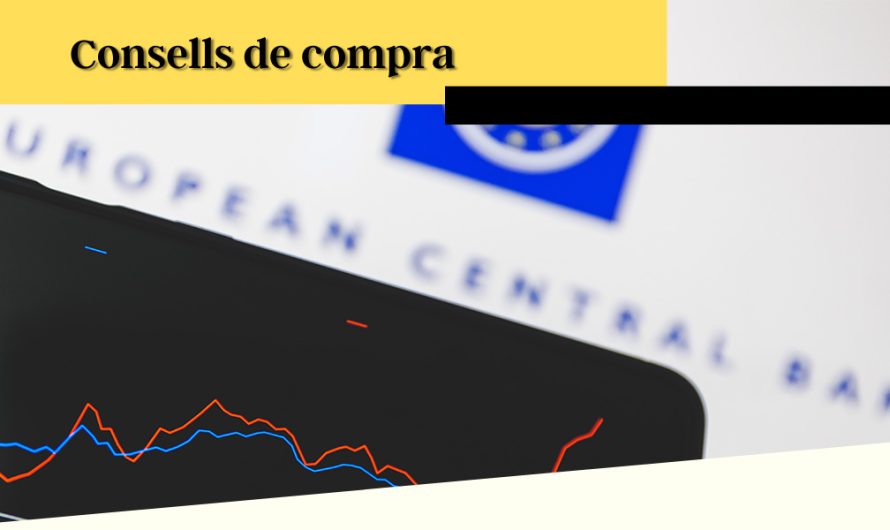 Com funcionen les hipoteques a tipus fix i variable?